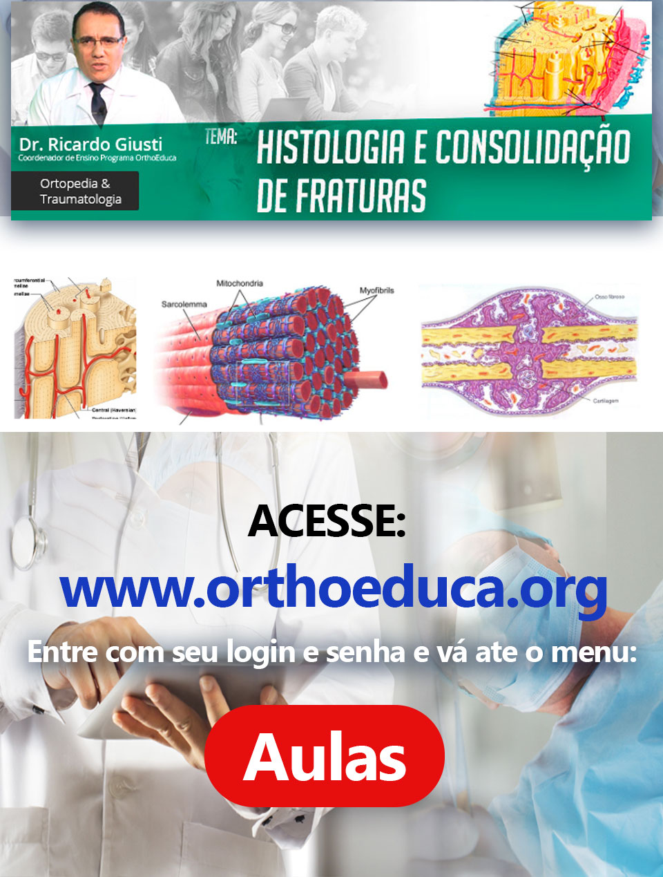 Histologia e Consolidação de Fraturas: OrthoEduca convida: Vamos estudar juntos?